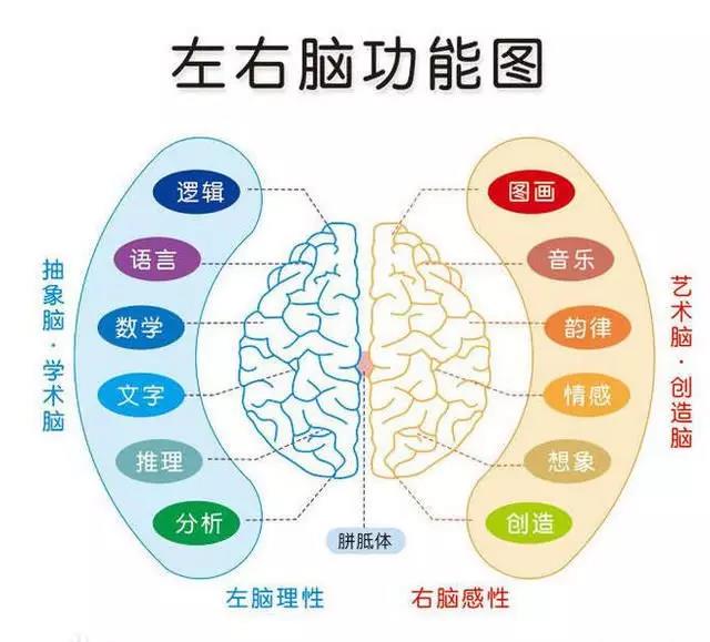 为什么你的相亲总是失败？聊天不是最重要的第3张